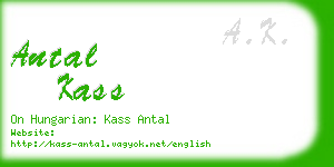 antal kass business card